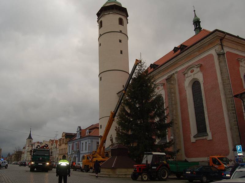 V Domažlicích už stojí vánoční strom