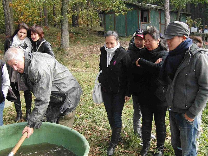 Z výlovu Černého rybníka 18. října 2011.