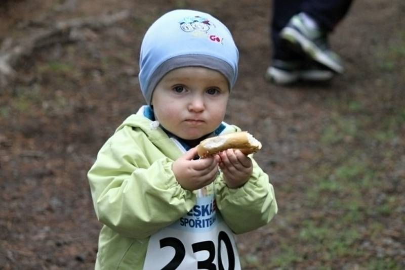 Fotoreportáž z 49. ročníku Běhu babylonskými lesy.