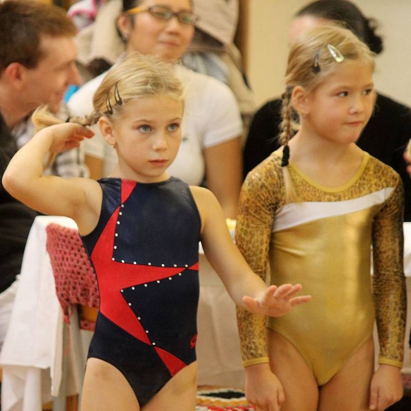 Cena Chodska ve sportovní gymnastice v Domažlicích. 