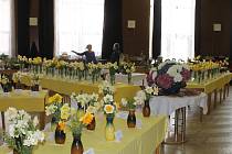 Více než 160 druhů narcisů a mnoho dalších rostlin uvidí o víkendu 23.-24. dubna návštěvníci jarní výstavy květin ve Staňkově.