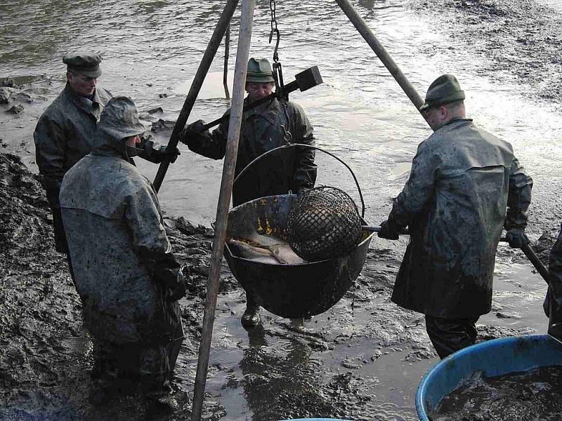 Z výlovu Černého rybníka 18. října 2011.