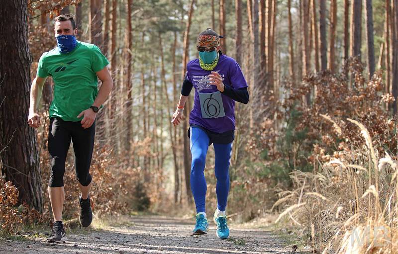 Miroslav Benda na trati Forestovo švestky při předbíhání jiného trénujícího rekreačního běžce. Foto: Kristina Bendová.