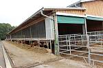 Dělníci staví nový kravín v Chodově, kam se vejde skoro 300 krav.
