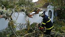 Důsledky silného větru řešili i dobrovolní hasiči z Chocomyšle a Únějovice. V Únějovicích spadla zlomená vrba na zeď bývalého mlýna a zablokovala cestu.