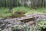 Lesníci spolu se zástupci Agentury ochrany přírody a krajiny ČR obnovili mokřady nedaleko Lesné.