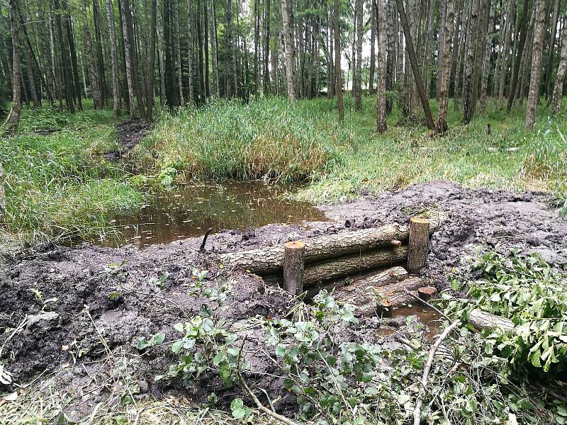 Lesníci spolu se zástupci Agentury ochrany přírody a krajiny ČR obnovili mokřady nedaleko Lesné.