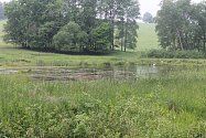 Ministr životního prostředí Richard Brabec si prohlédl obnovený rybník a vzniklé tůně v Nemanicích.