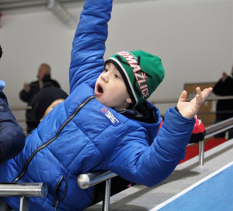 Hokejoví Akademici Plzeň porazili v Domažlicích polskou Krynicu.