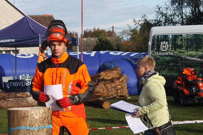 Profesionální dřevorubci soutěžili v pěti disciplínách.