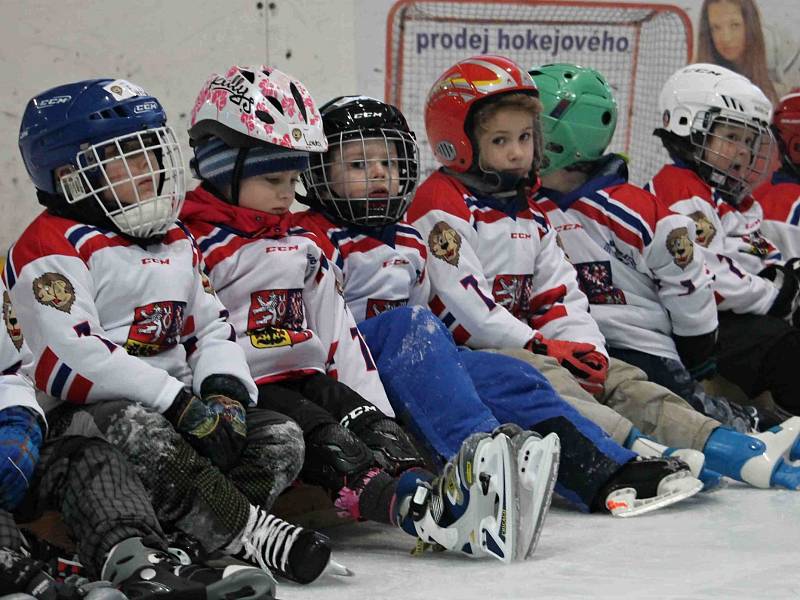 HC Domažlice spolu s hokejovým svazem pořádal náborovou a prezentační akci Pojď hrát hokej!