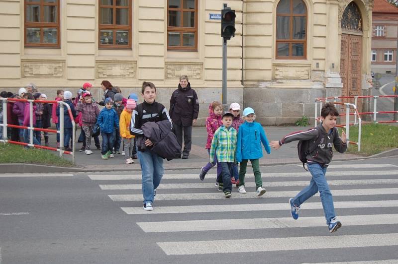 Z akce Zebra se za Tebe nerozhlédne v Domažlicích.