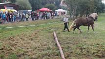 Na Den Českého lesa dorazily stovky návštěvníků. Největší pozornost budil závod chladnokrevných koní.