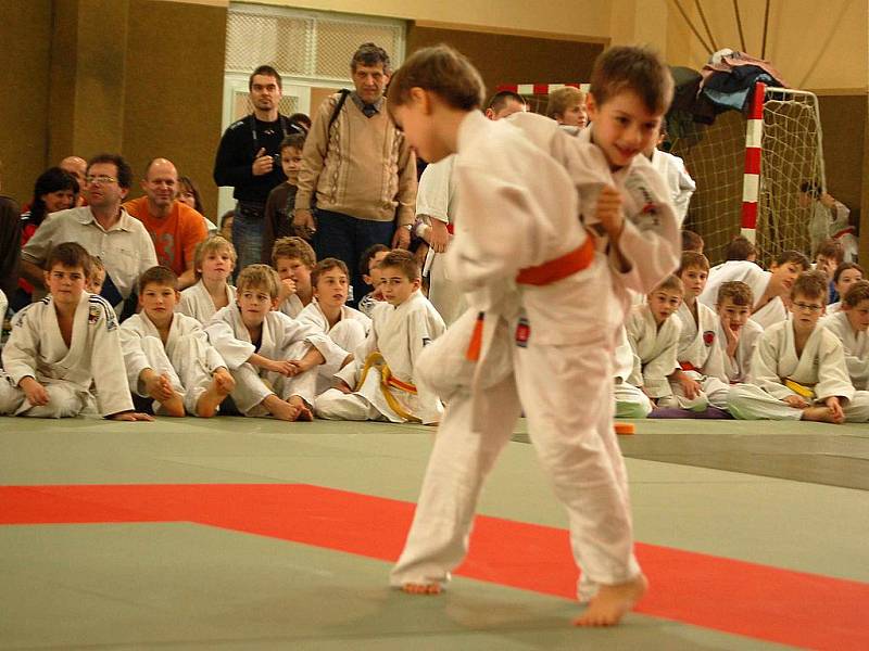 Fotoreportáž z 18. ročníku Memoriálu Ing. Petra Radoše v judu v Domažlicích.