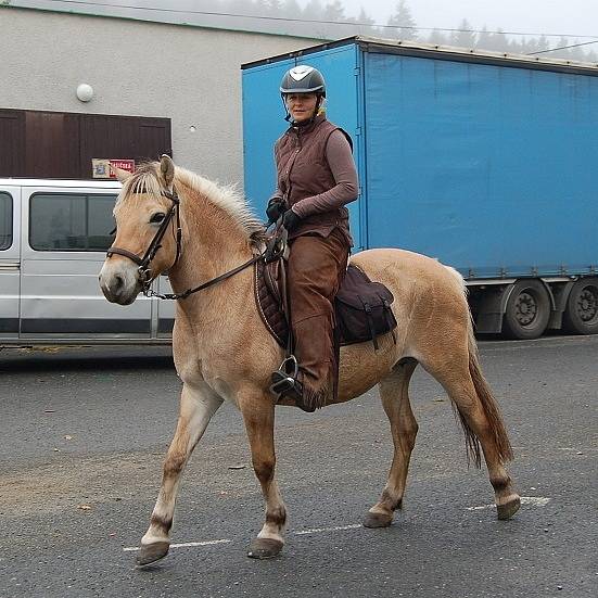 Hubertská jízda v Mezholezích u Kdyně.