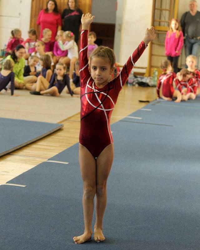 Cena Chodska ve sportovní gymnastice v Domažlicích. 