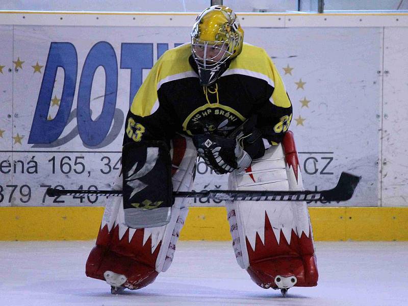 Z utkání hokejistů HC HP Sršni Domažlice a Ice Barons Waldmünchen.