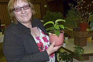 Františka Hollarová s jedním z 52 druhů voskovek, které pěstuje.