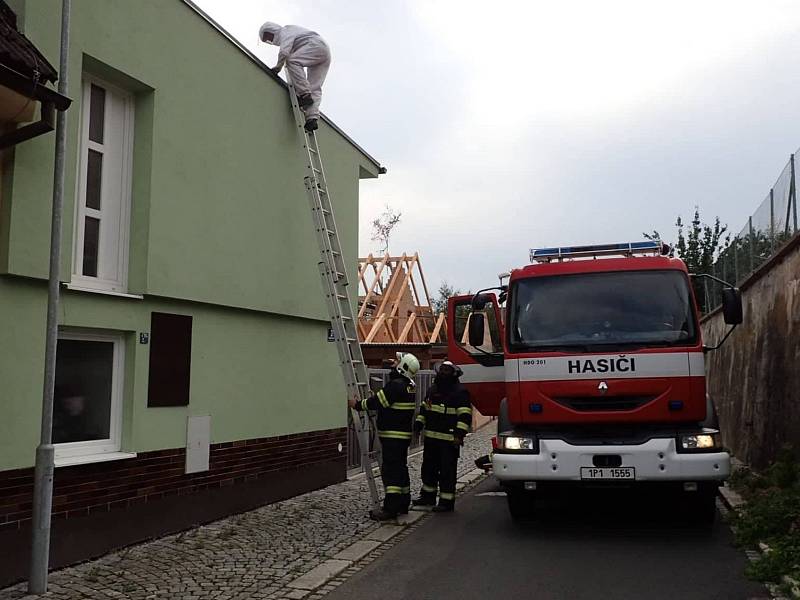 Ulomenou větev nakonec musí odstranit arboristická firma.