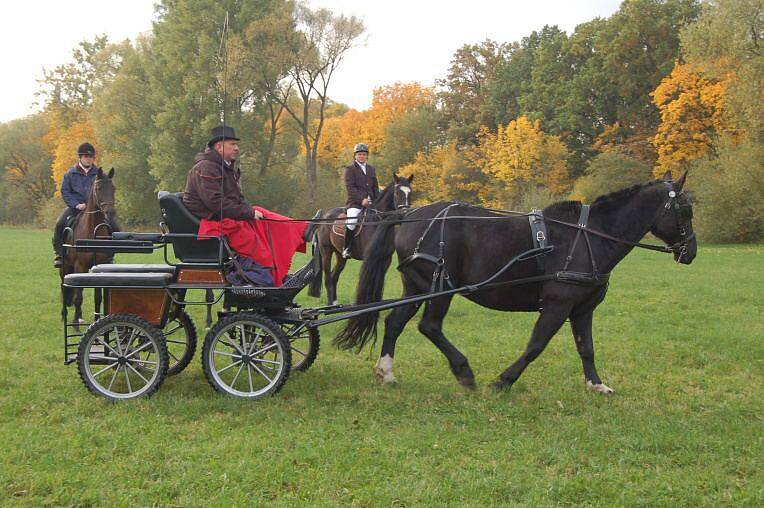 Hubertova jízda v Horšově.