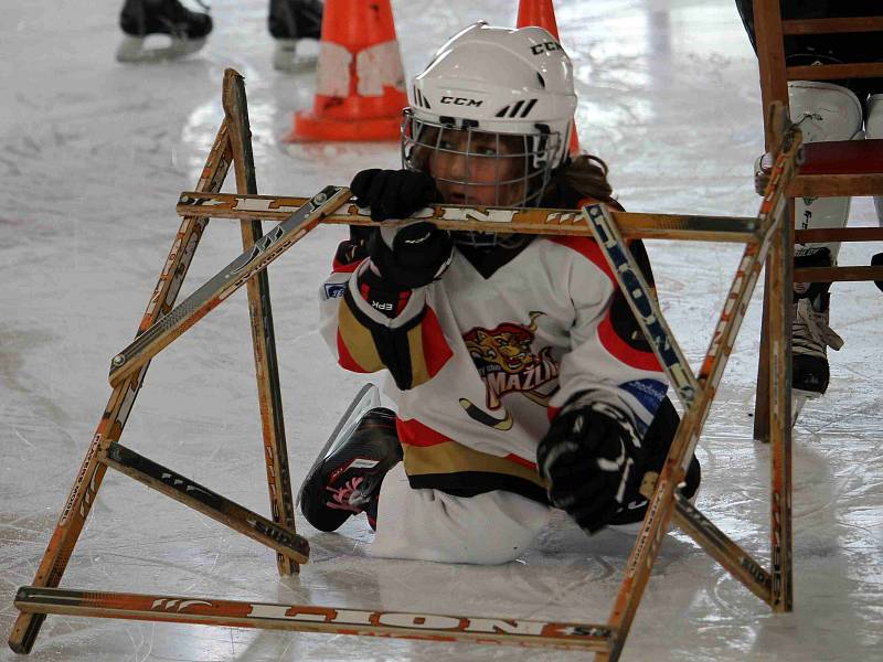 HC Domažlice pořádal za účasti extraligového hokejisty Plzně Jakuba Lva Den náborů.