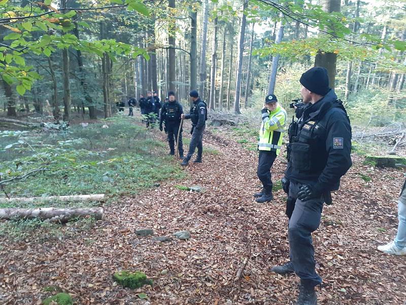 V pondělí odpoledne hledala ztracenou dívku v Českém lese na Domažlicku široká rojnice z policistů a hasičů.