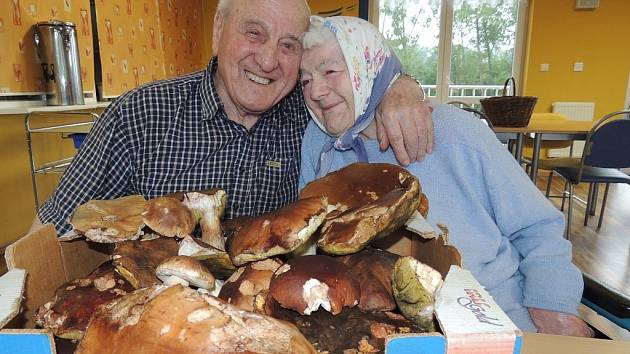 Darované houby splnily seniorům sen - Domažlický deník