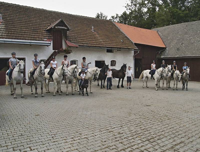 Kladrubští bělouši v Maškově mlýně.