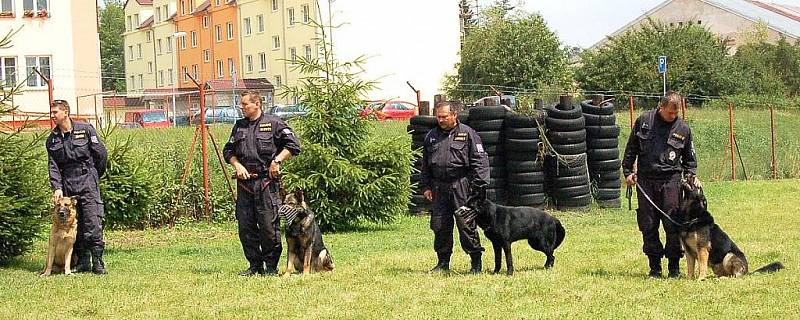 Účastníci krajských přeborů před vyhlášením výsledků.