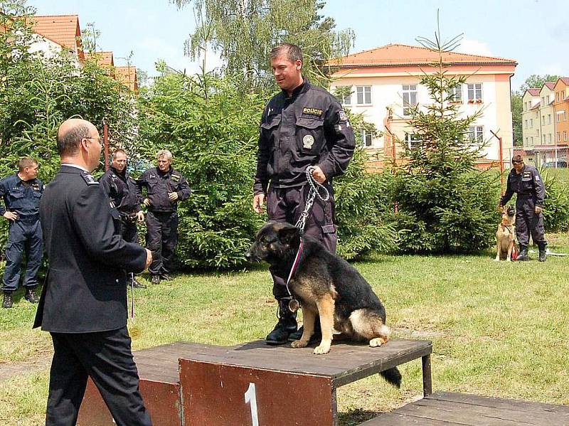 Zarat Miroslava Dörflera ze Sokolova byl vyhodnocen jako nejposlušnější pes ...