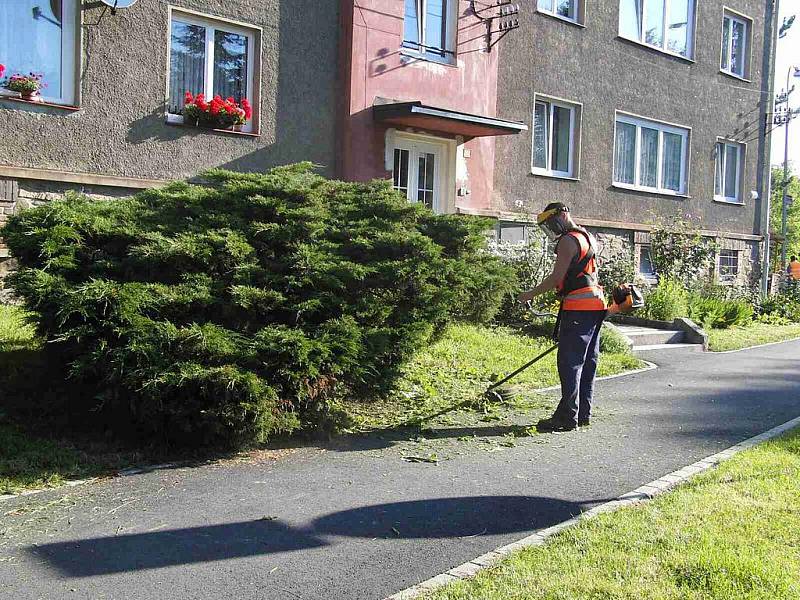 V KŮŽI. Nápad vyzkoušet si veřejnou službu nebyl v žádném případě marný.