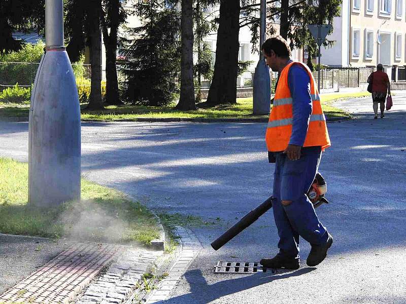 V KŮŽI. Nápad vyzkoušet si veřejnou službu nebyl v žádném případě marný.