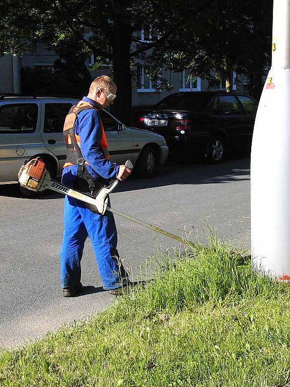 V KŮŽI. Nápad vyzkoušet si veřejnou službu nebyl v žádném případě marný.