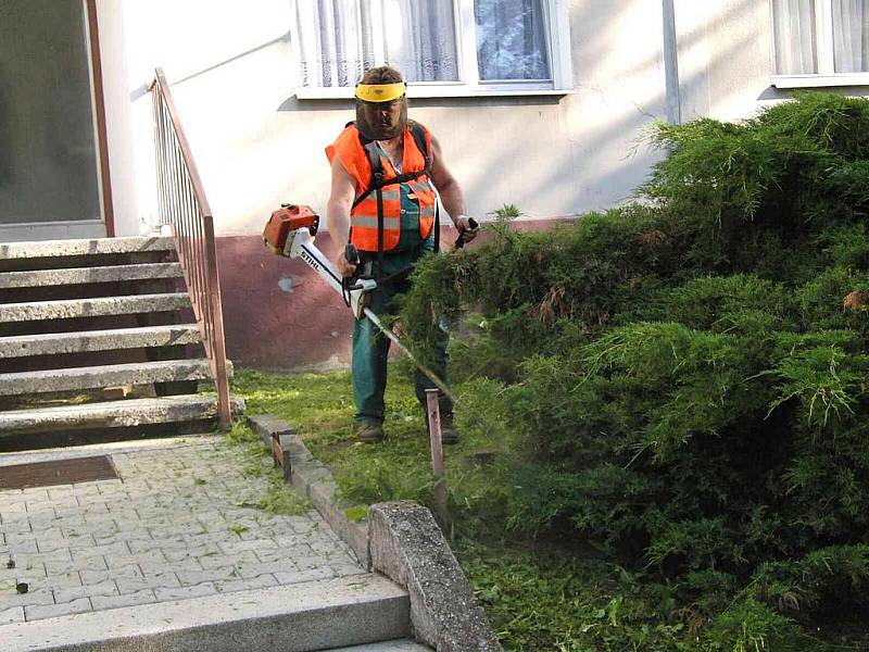 V KŮŽI. Nápad vyzkoušet si veřejnou službu nebyl v žádném případě marný.