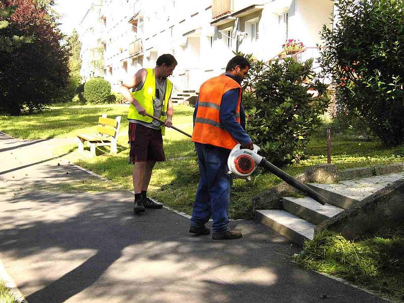 V KŮŽI. Nápad vyzkoušet si veřejnou službu nebyl v žádném případě marný.