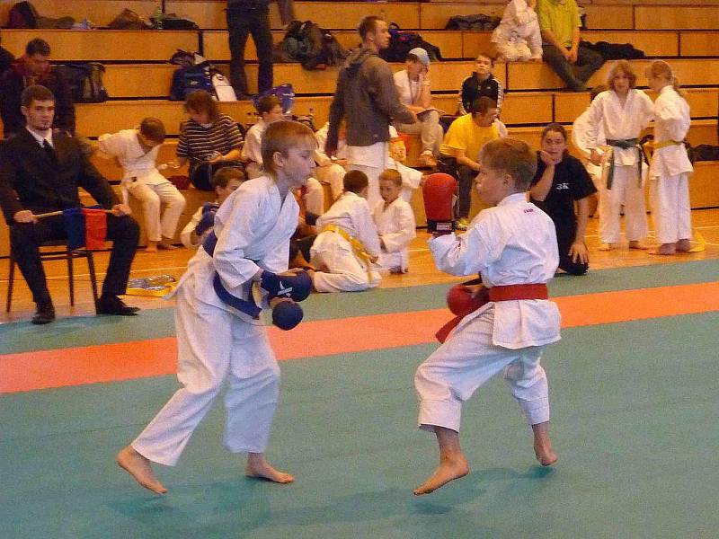 Ve Sportovní hale Jiskry Domažlice se konal turnaj v karate.