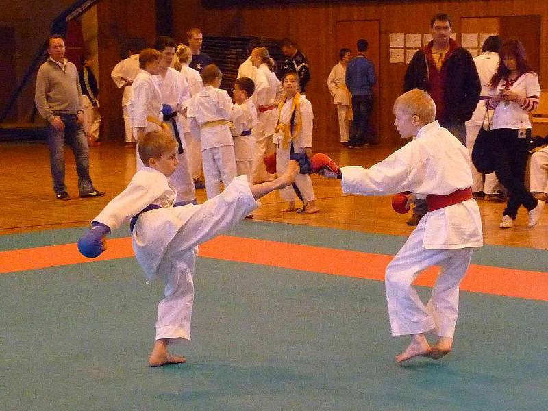 Ve Sportovní hale Jiskry Domažlice se konal turnaj v karate.