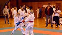 Ve Sportovní hale Jiskry Domažlice se konal turnaj v karate.