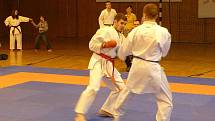 Ve Sportovní hale Jiskry Domažlice se konal turnaj v karate.