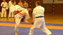 Ve Sportovní hale Jiskry Domažlice se konal turnaj v karate.