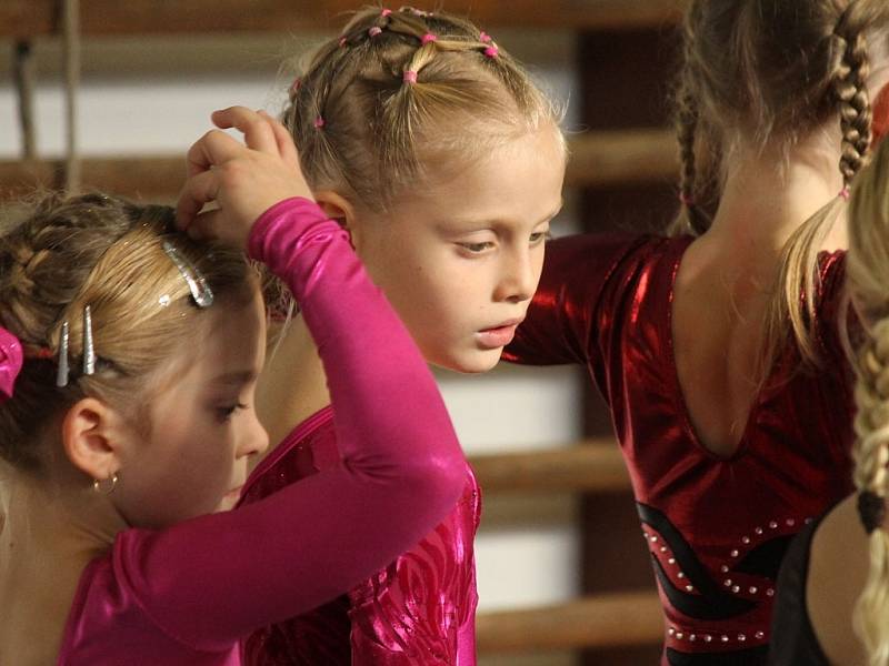 Cena Chodska ve sportovní gymnastice v Domažlicích. 