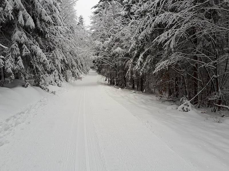 BĚŽKAŘI mohou o víkendu vyrazit do bílé stopy.