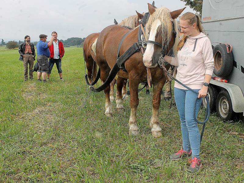 Na Den Českého lesa dorazily stovky návštěvníků. Největší pozornost budil závod chladnokrevných koní.