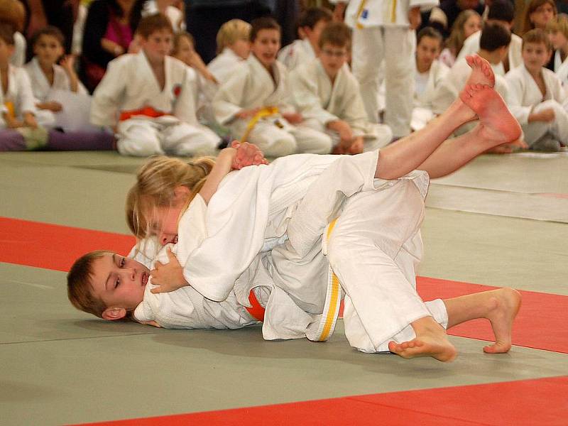 Fotoreportáž z 18. ročníku Ing. Petra Radoše v judu v Domažlicích.