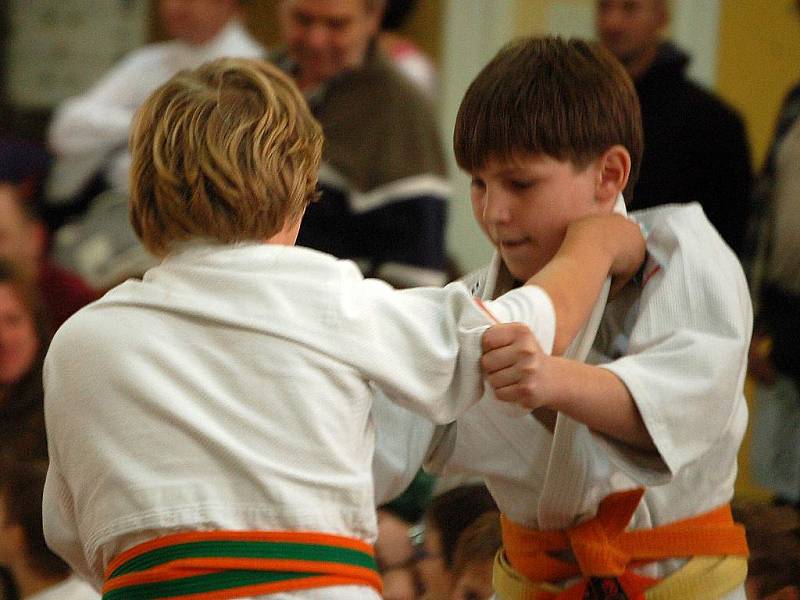 Fotoreportáž z 18. ročníku Ing. Petra Radoše v judu v Domažlicích.