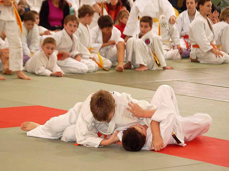 Fotoreportáž z 18. ročníku Ing. Petra Radoše v judu v Domažlicích.