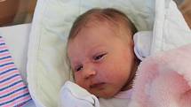 Amelie Krausová z Plzně se narodila v klatovské porodnici 5. srpna ve 2:16 hodin (3430 g, 47 cm). Rodiče Barbora a Luděk dopředu věděli, že jejich druhorozeným miminkem bude holčička. Doma se na malou sestřičku těší Agatha (2,5).