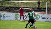 25. kolo FORTUNA ČFL, skupina A: Sokolov - Domažlice (bílí) 3:0.