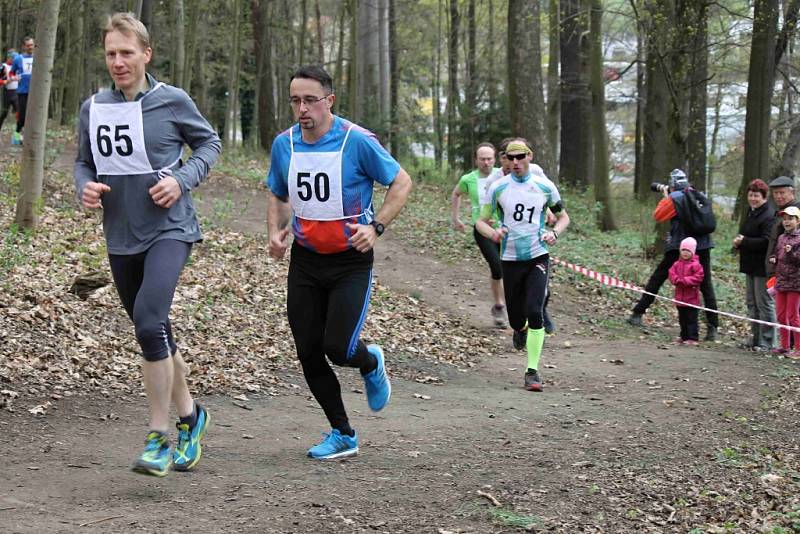 Závod Běh Škarmanem 2015 v Domažlicích.