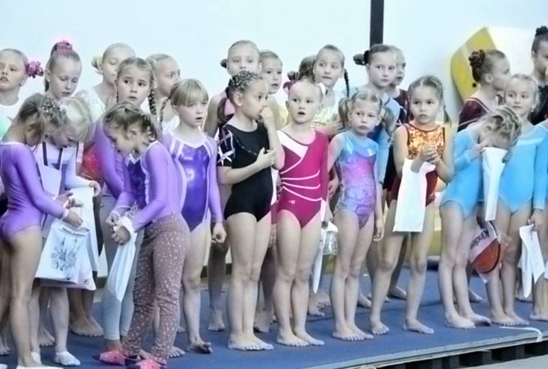 Ze závodu O cenu Chodska ve sportovní gymnastice.